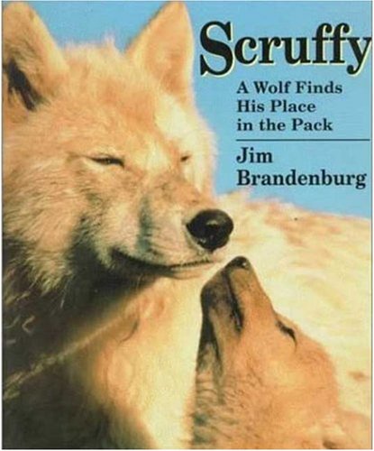 Stock image for Scruffy: A Wolf Finds His Place in the Pack for sale by Hawking Books