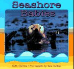Imagen de archivo de Seashore Babies a la venta por Black and Read Books, Music & Games