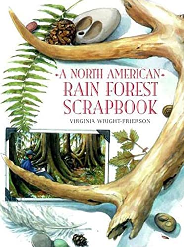 Stock image for A North American Rain Forest Scrapbook for sale by Gulf Coast Books