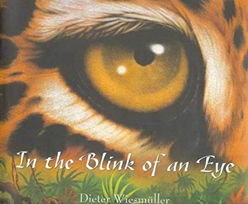 Beispielbild fr In the Blink of an Eye zum Verkauf von Better World Books