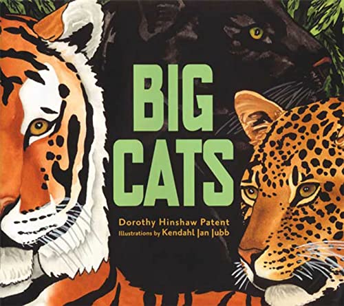 Beispielbild fr Big Cats zum Verkauf von Better World Books