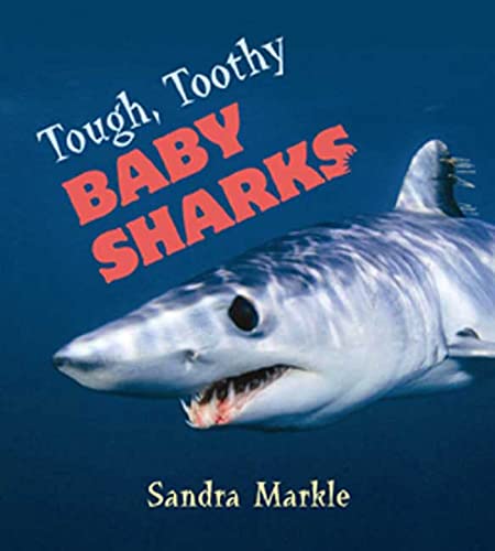 Tough, Toothy Baby Sharks (9780802795939) by Markle, Sandra