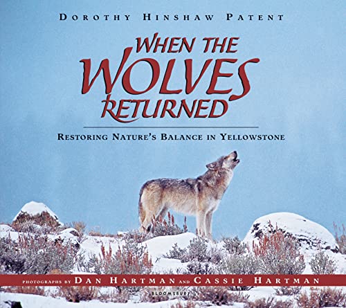 Stock image for When the Wolves Returned: Restoring Nature's Balance in Yellowstone for sale by SecondSale