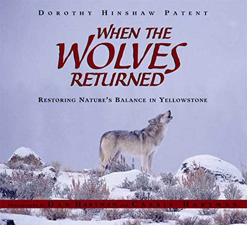 9780802796875: When the Wolves Returned: Restoring Nature's Balance in Yellowstone