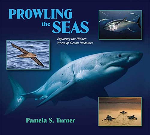 Beispielbild fr Prowling the Seas : Exploring the Hidden World of Ocean Predators zum Verkauf von Better World Books: West