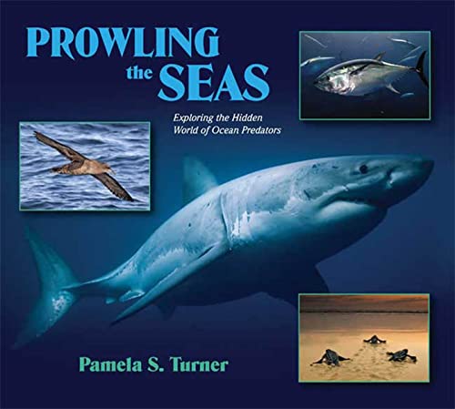 Stock image for Prowling the Seas: Exploring the Hidden World of Ocean Predators for sale by Once Upon A Time Books