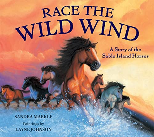 Imagen de archivo de Race the Wild Wind: A Story of the Sable Island Horses a la venta por SecondSale
