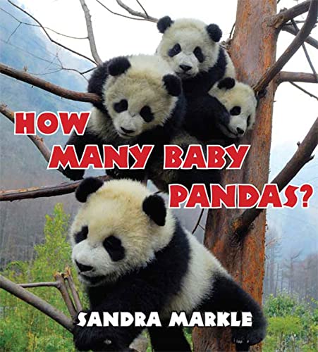 How Many Baby Pandas? (9780802797834) by Markle, Sandra