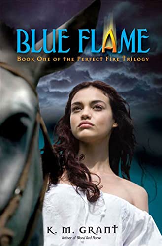 Stock image for Blue Flame: Book One of the Perfect Fire Trilogy for sale by Half Price Books Inc.