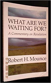 Imagen de archivo de What Are We Waiting for: A Commentary on Revelation a la venta por JR Books