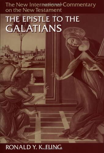 9780802825094: Epistle to the Galatians (New International Commentary on the New Testament)