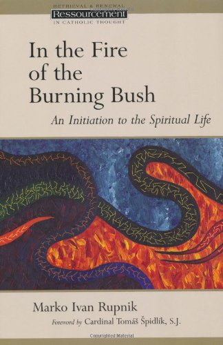 Imagen de archivo de In the Fire of the Burning Bush : An Initiation to the Spiritual Life a la venta por Better World Books