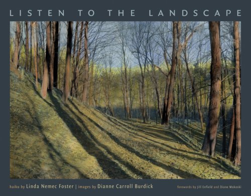 Beispielbild fr Listen to the Landscape zum Verkauf von Wonder Book