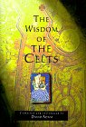 9780802838339: The Wisdom of the Celts (The wisdom series)