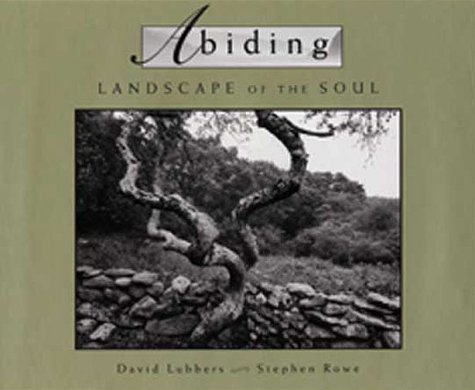 Beispielbild fr Abiding : Landscape of the Soul zum Verkauf von Better World Books