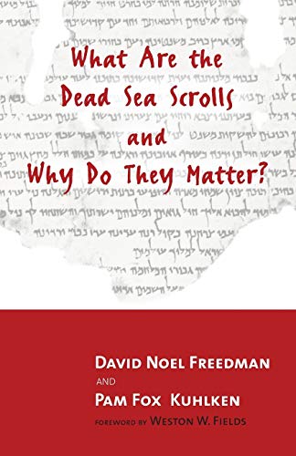 Imagen de archivo de What Are the Dead Sea Scrolls and Why Do They Matter? a la venta por Better World Books