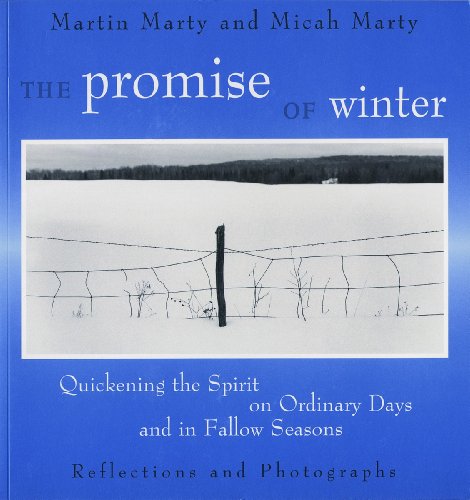 Imagen de archivo de The Promise of Winter: Quickening the Spirit on Ordinary Days and in Fallow Seasons a la venta por Gulf Coast Books
