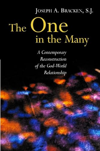 

The One in the Many: A Contemporary Reconstruction of the God-World Relationship (Paperback or Softback)