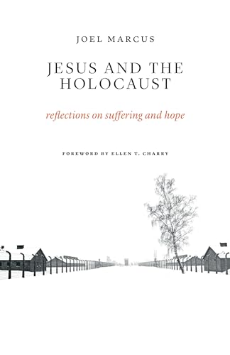 Stock image for Jesus and the Holocaust: Reflections on Suffering and Hope for sale by Your Online Bookstore