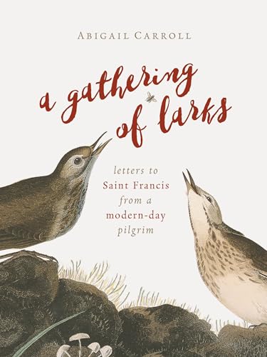 Beispielbild fr Gathering of Larks: Letters to Saint Francis from a Modern-Day Pilgrim zum Verkauf von BooksRun