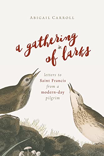 Stock image for Gathering of Larks: Letters to Saint Francis from a Modern-Day Pilgrim for sale by BooksRun