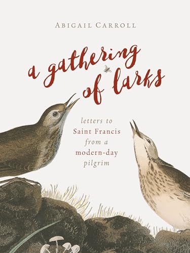Stock image for Gathering of Larks: Letters to Saint Francis from a Modern-Day Pilgrim for sale by BooksRun