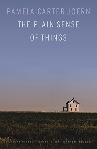 Stock image for The Plain Sense of Things (Flyover Fiction) for sale by SecondSale