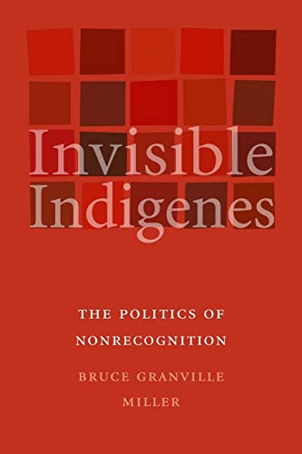 Imagen de archivo de Invisible Indigenes: The Politics of Nonrecognition a la venta por Midtown Scholar Bookstore