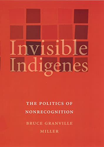 Imagen de archivo de Invisible Indigenes: The Politics of Nonrecognition a la venta por ThriftBooks-Atlanta