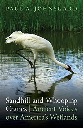 Imagen de archivo de Sandhill and Whooping Cranes : Ancient Voices over America's Wetlands a la venta por Better World Books