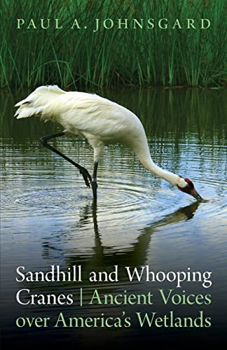 Stock image for Sandhill and Whooping Cranes : Ancient Voices over America's Wetlands for sale by Better World Books