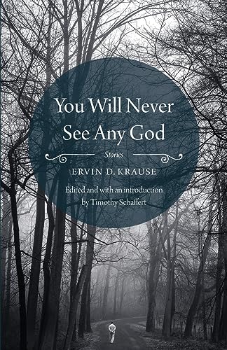 Beispielbild fr You Will Never See Any God zum Verkauf von ThriftBooks-Dallas