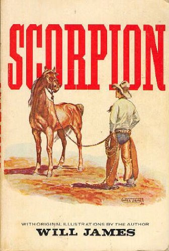 9780803258228: Scorpion, a Good Bad Horse