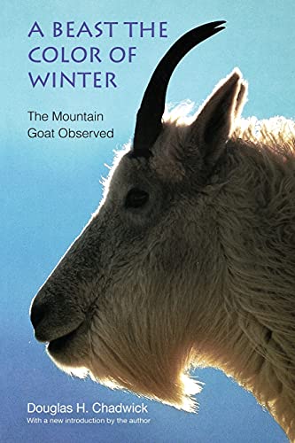 A Beast the Color of Winter: The Mountain Goat Observed