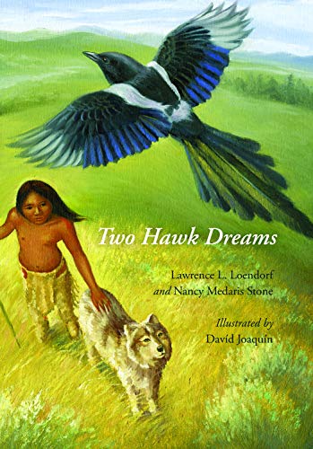 Stock image for Two Hawk Dreams: for sale by Andover Books and Antiquities