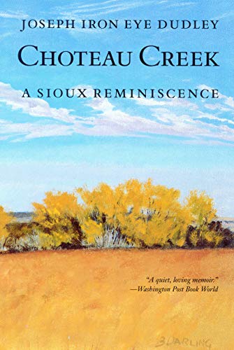 Imagen de archivo de Choteau Creek: A Sioux Reminiscence a la venta por SecondSale