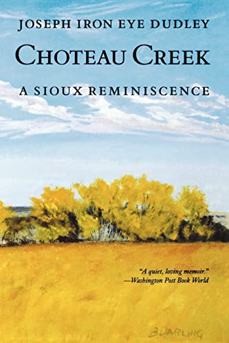 Stock image for Choteau Creek: A Sioux Reminiscence for sale by SecondSale