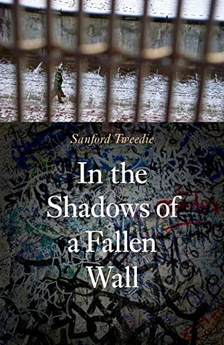 Stock image for In the Shadows of a Fallen Wall for sale by Better World Books
