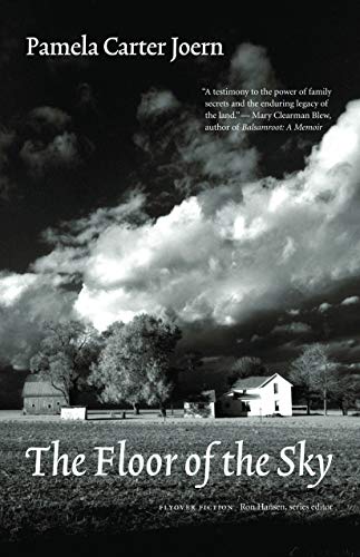 9780803276314: The Floor of the Sky (Flyover Fiction)