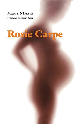 Beispielbild fr Rosie Carpe (European Women Writers) zum Verkauf von SecondSale