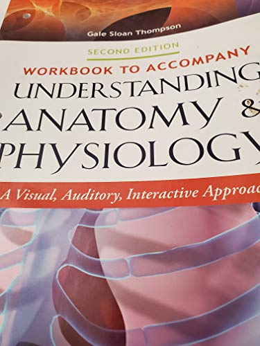 9780803643741: Workbook to Accompany Understanding Anatomy & Physiology: A Visual, Auditory, Interactive Approach