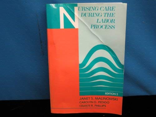 Imagen de archivo de Nursing Care During the Labor Process a la venta por Village Books and Music