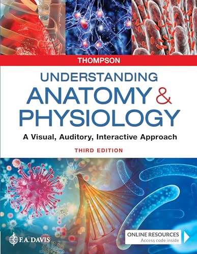 Stock image for Understanding Anatomy & Physiology: A Visual, Auditory, Interactive Approach for sale by BooksRun