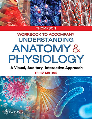 Beispielbild fr Workbook to Accompany Understanding Anatomy & Physiology: A Visual, Auditory, Interactive Approach zum Verkauf von HPB-Red