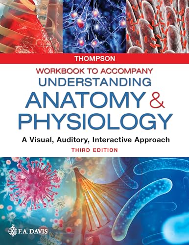 9780803676466: Workbook to Accompany Understanding Anatomy & Physiology: A Visual, Auditory, Interactive Approach