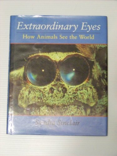 Beispielbild fr Extraordinary Eyes zum Verkauf von Better World Books