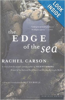 Imagen de archivo de On the Edge of the Sea a la venta por Ergodebooks