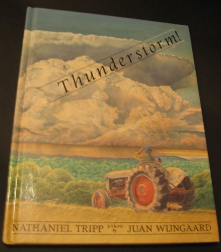Beispielbild fr Thunderstorm! zum Verkauf von Better World Books: West