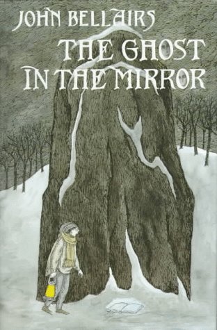 Beispielbild fr The Ghost in the Mirror zum Verkauf von Jenson Books Inc