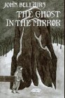 9780803713710: The Ghost in the Mirror (Lewis Barnavelt)